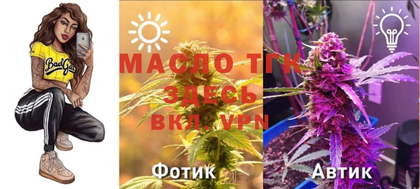 винт Аркадак